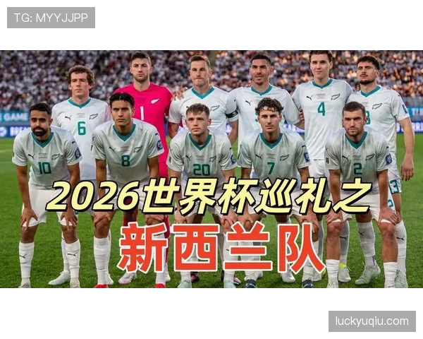 世界杯G组关键数据统计